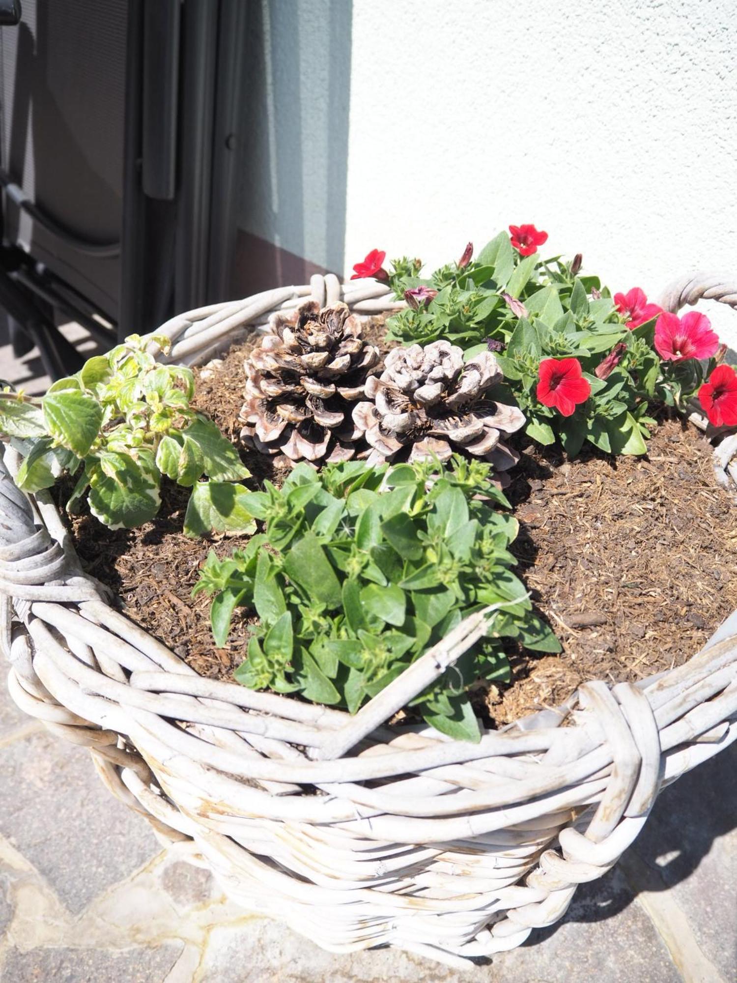 Appartement Felsenheim Westendorf Bagian luar foto